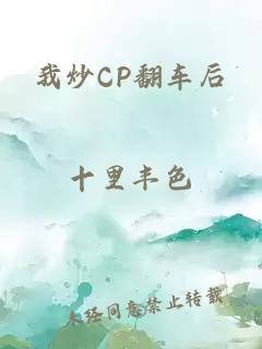 我炒CP翻车后