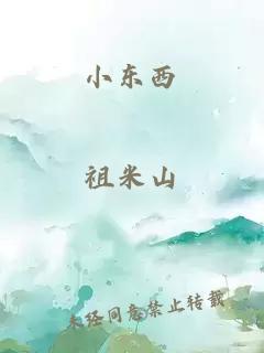 小东西