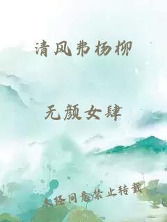 清风弗杨柳