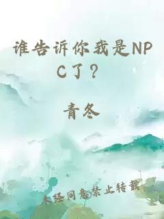 谁告诉你我是NPC了？