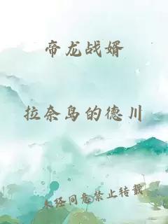 帝龙战婿