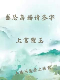 盛总离婚请签字